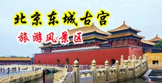 狂插骚B中国北京-东城古宫旅游风景区